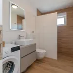 Olea تروغير