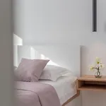 Olea * تروغير
