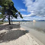 Olea شقة تروغير