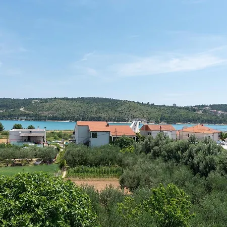 Olea
