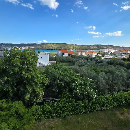 Olea * Trogir