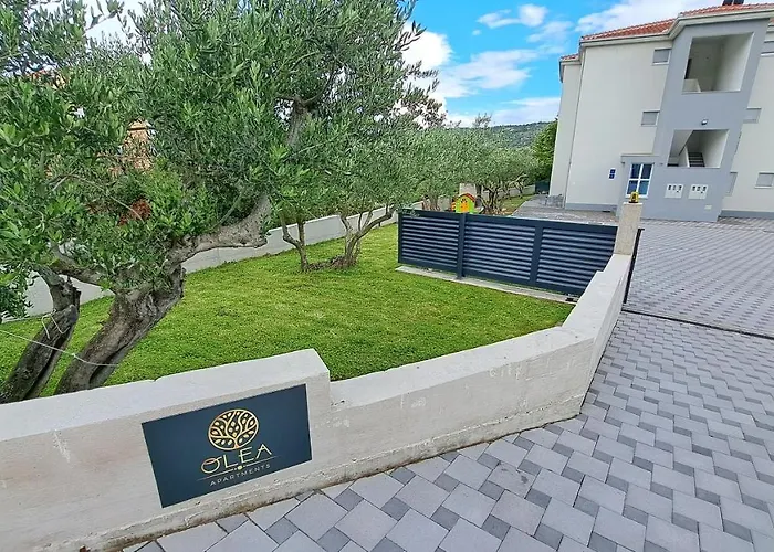 Olea