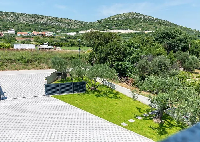 Olea