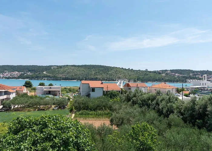 Olea