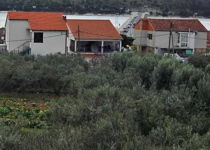 Olea