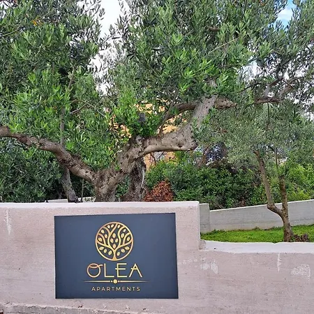 Apartment Olea *