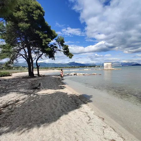 Olea Daire Trogir