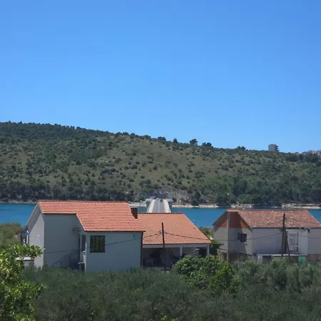 Olea Daire *