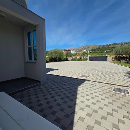 Olea Daire Trogir