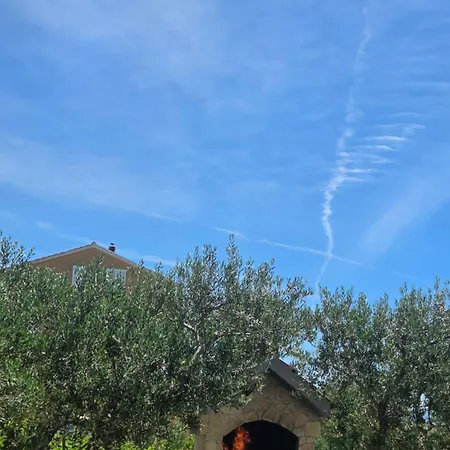 Olea Trogir